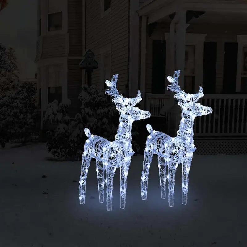 Kerstverlichting met verschillende lichteffecten voor je tuin decoratie - Koudwit / 2 / 1 - Kerstverlichting