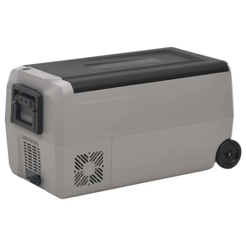 Koelers Grote koelbox met royale binnenafmetingen voor buitenactiviteiten - 50 l / zonder adapter - Koelers