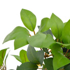 Kunstlaurierboom 120 cm met levering bevat voor interieurdecoratie - Kunstplanten