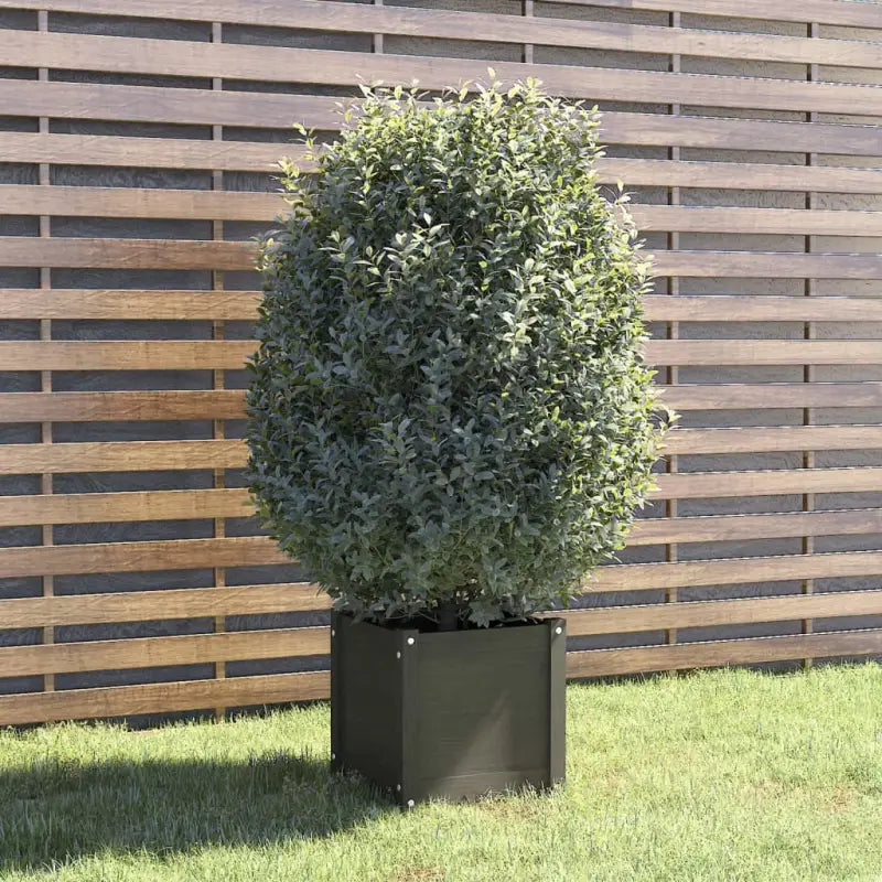 Massief Grenenhout Bloempotten en plantenbakken voor tuin en balkon - Grijs / 1 - Bloempotten & plantenbakken