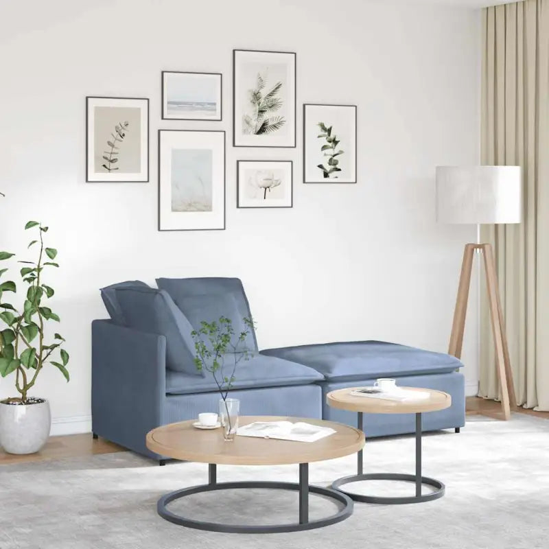Modulaire bank met totale afmetingen voor dagelijks gebruik en elegant design - Blauw - Bankelementen