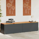 Opbergbox voor buiten in poly rattan voor andere spullen eenvoudig schoon maken - Zwart / 220 x 50 x 54 cm