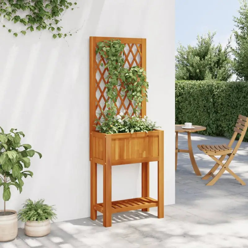 Plantenbak met latwerk van massief acaciahout voor tuin en terras - Bloempotten & plantenbakken