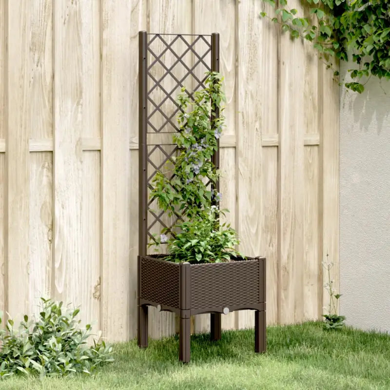 Plantenbak met latwerk voor klimplanten in tuin of op terras - Bruin / 40 x 40 x 142 cm / 1 - Bloempotten &