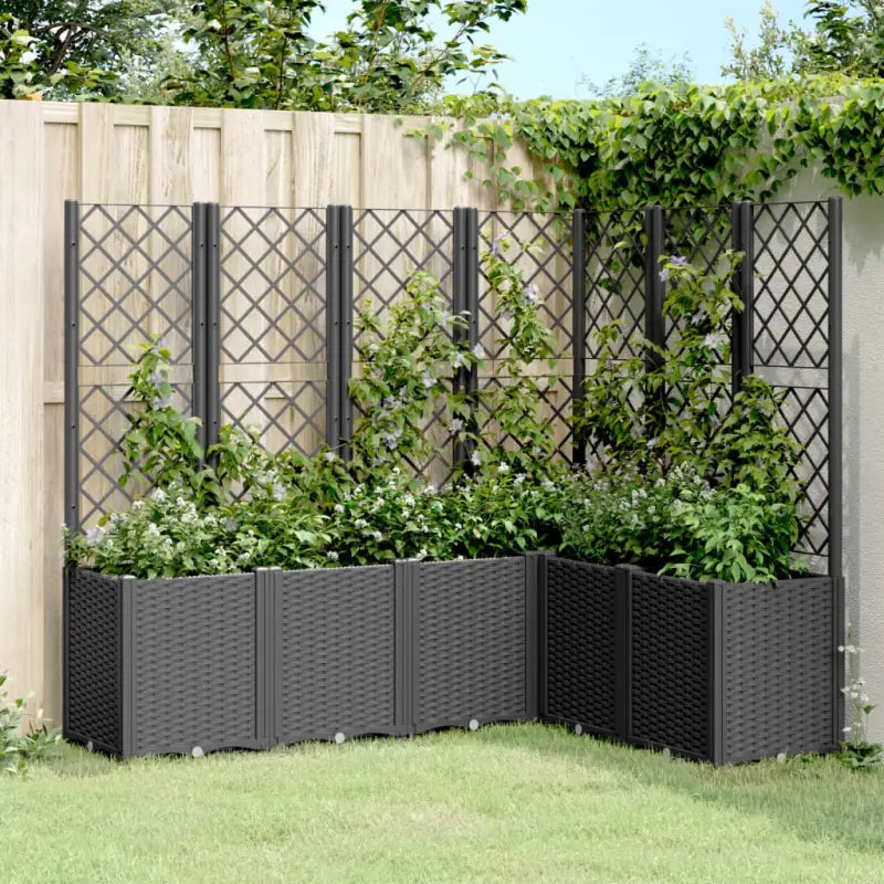 Plantenbak met latwerk voor klimplanten in tuin of terras - Zwart / 160 x 120 x 140 cm / 1 - Bloempotten & plantenbakken