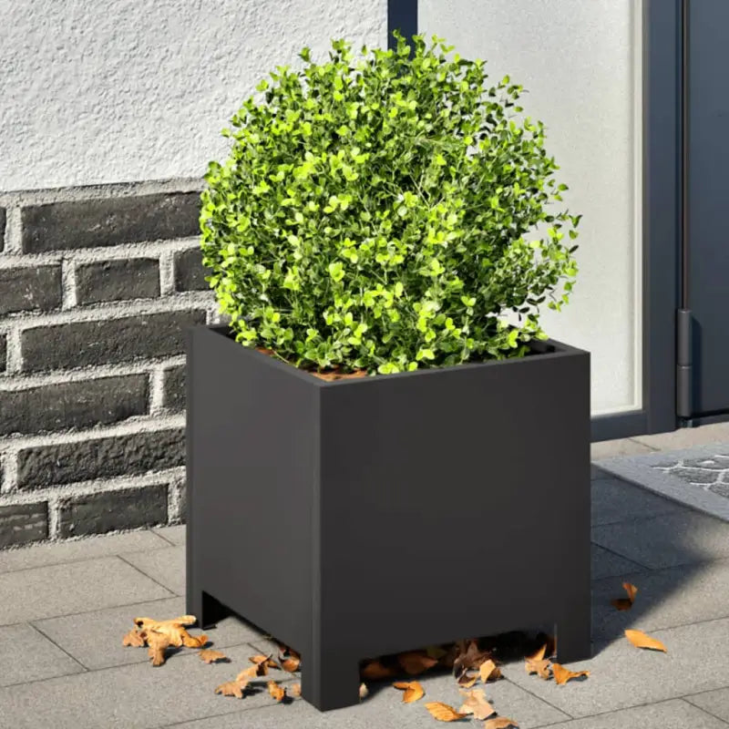 Plantenbakken voor je favoriete planten en bloemen voor tuin en balkon - Staal/Zwart / 30 x 30 x 30 cm / 2