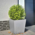 Plantenbakken voor je favoriete planten voor tuin en balkon - Gegalvaniseerd staal/Grijs / 50 x 50 x 50 cm / 1