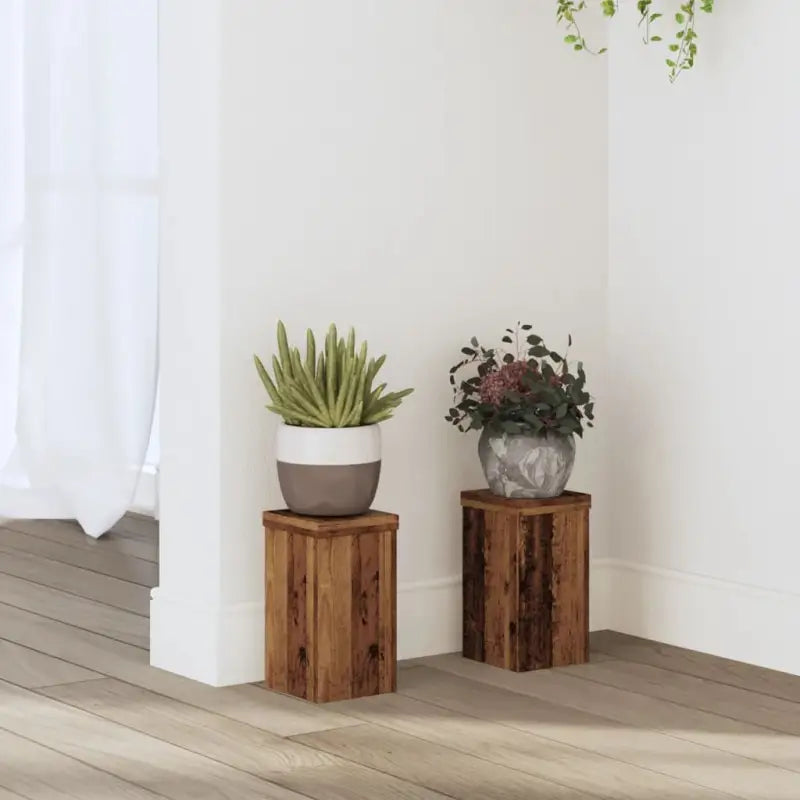 Plantenstandaarden van bewerkt hout voor planten en andere decoraties - Oud hout / 10 x 10 x 18 cm / 2