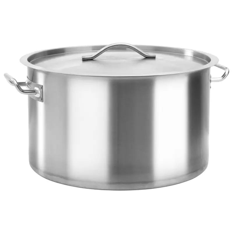 Roestvrijstalen kookpan voor duurzame en hoge prestaties - 50 x 30 cm (58 l) - Kookpannen