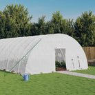 Ruime Tuinkas voor Groenten en Planten in Duurzaam Polyethyleen - Wit / 14 x 6 x 2.85 m / 1 - Tuinkassen