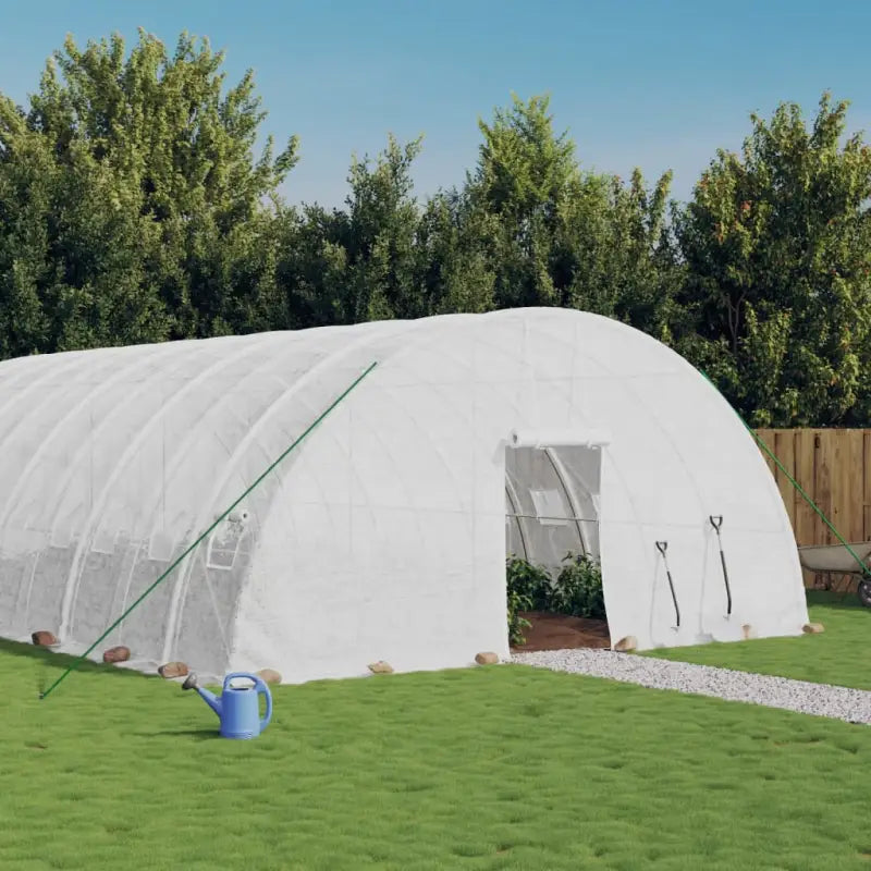 Ruime Tuinkas voor Groenten en Planten in Duurzaam Polyethyleen - Wit / 14 x 6 x 2.85 m / 1 - Tuinkassen