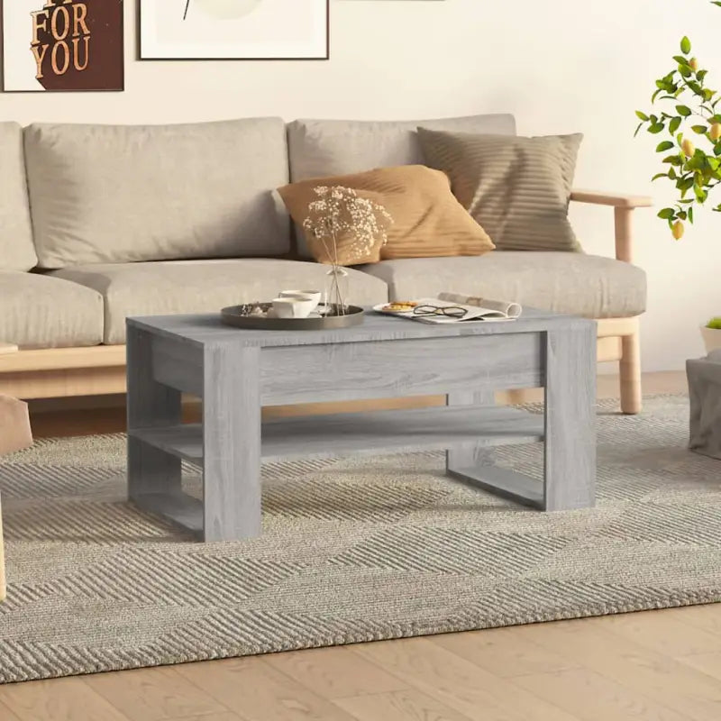 Salontafel van bewerkt hout voor een stijlvolle en duurzame woonkamer - Grijs sonoma / 1 - Salontafels