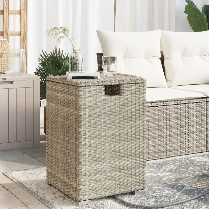 Tuintafels Afdekkast voor Propaangasflessen van Poly Rattan - Lichtgrijs / 1 - Tuintafels