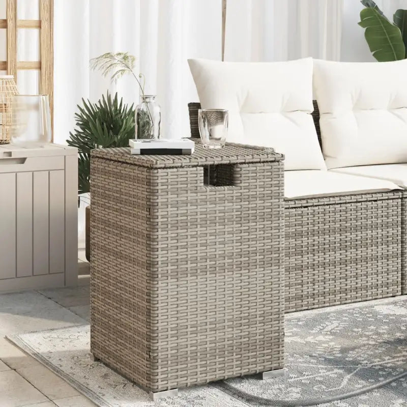 Tuintafels Afdekkast voor Propaangasflessen van Poly Rattan - Grijs / 1 - Tuintafels