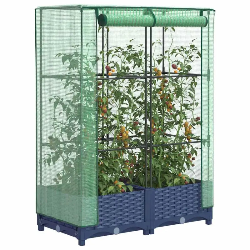 Verhoogde plantenbak met kasdek voor extra groeiruimte - Blauwgrijs / 80 x 40 x 123 cm / 1 - Bloempotten & plantenbakken