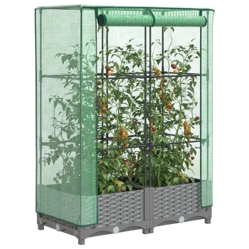 Verhoogde plantenbak met kasdek voor extra groeiruimte - Lichtgrijs / 80 x 40 x 123 cm / 1 - Bloempotten & plantenbakken