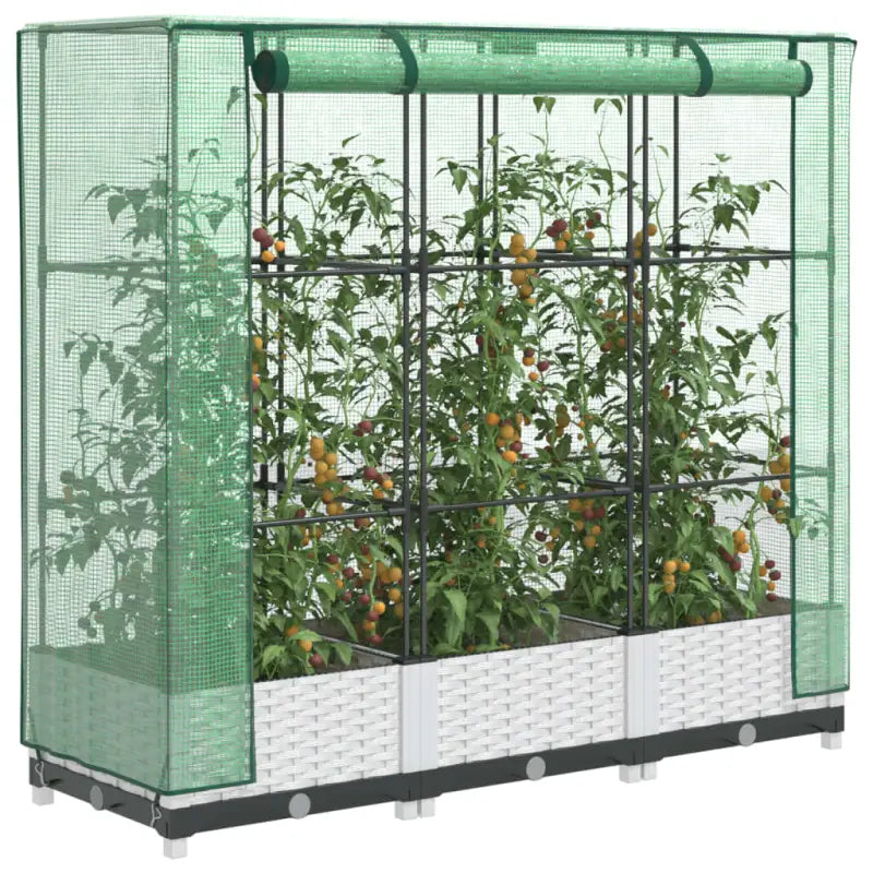 Verhoogde plantenbak met kasdek voor extra groeiruimte - Wit / 120 x 40 x 123 cm / 1 - Bloempotten & plantenbakken
