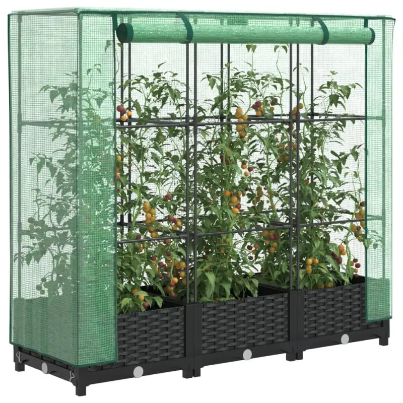 Verhoogde plantenbak met kasdek voor extra groeiruimte - Zwart / 120 x 40 x 123 cm / 1 - Bloempotten & plantenbakken