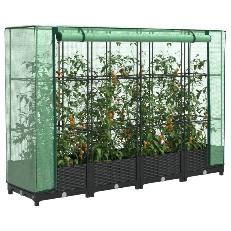 Verhoogde plantenbak met kasdek voor extra groeiruimte - Zwart / 160 x 40 x 123 cm / 1 - Bloempotten & plantenbakken