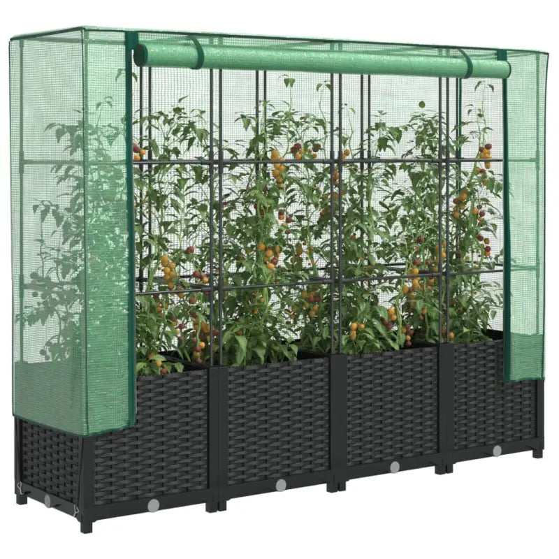 Verhoogde plantenbak met kasdek voor extra groeiruimte - Zwart / 160 x 40 x 138 cm / 1 - Bloempotten & plantenbakken