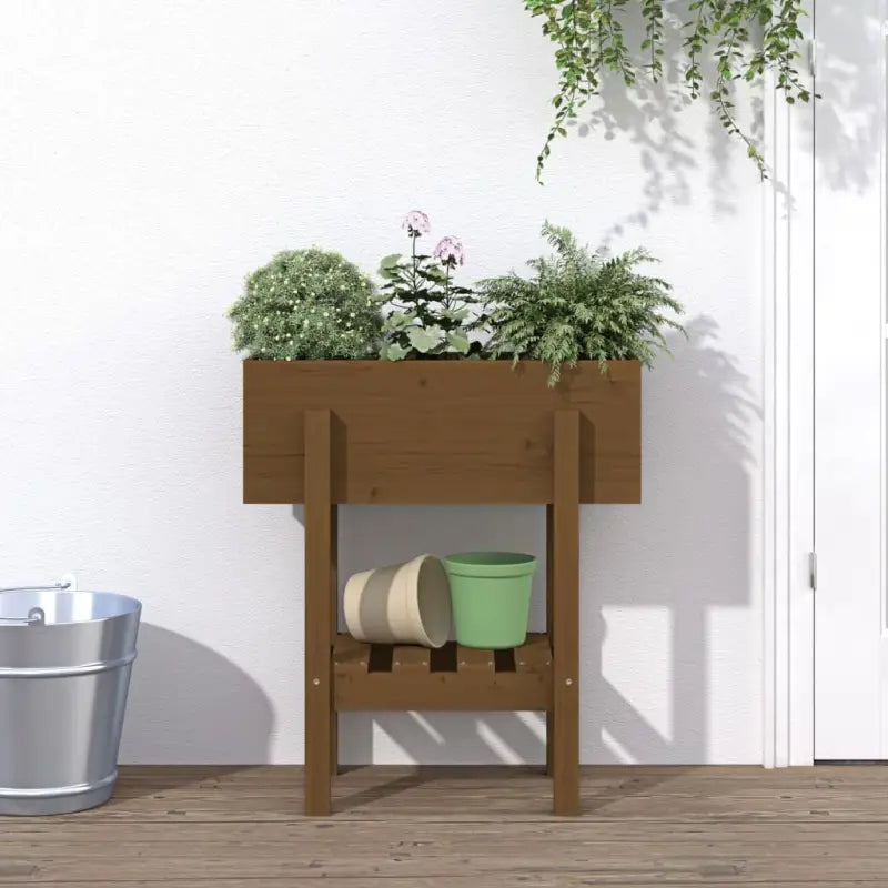 Verhoogde plantenbak van massief douglashout voor tuin en balkon - Honingbruin grenenhout / 62 x 30 x 69 cm / 1