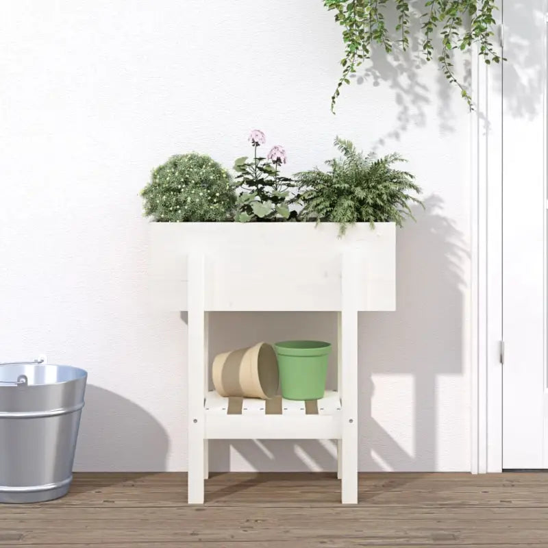 Verhoogde plantenbak van massief douglashout voor tuin en balkon - Wit grenenhout / 62 x 30 x 69 cm / 1 - Bloempotten &