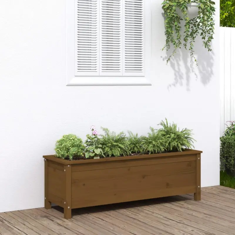 Verhoogde plantenbak van massief grenenhout voor tuin en balkon - Honingbruin grenenhout / 119.5 x 40 x 39 cm / 1