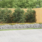 Verhoogde schanskorf van gegalvaniseerd ijzer voor een stabiele border - 600 x 100 x 50 cm / 1 - Bloempotten &