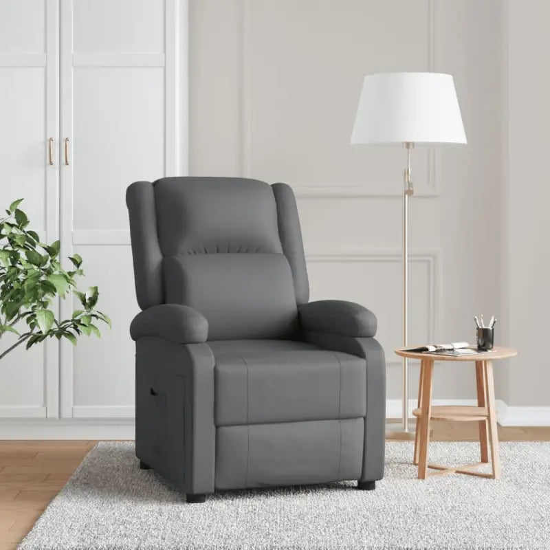 Verstelbare fauteuil voor optimaal comfort en ontspanning - Grijs / 1 - Fauteuils & Relaxfauteuils