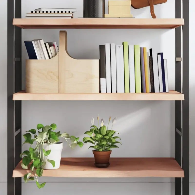 Wandplank van massief eikenhout met natuurlijke rand voor extra opbergruimte - Naturel / 80 x 60 x 4 cm / 1
