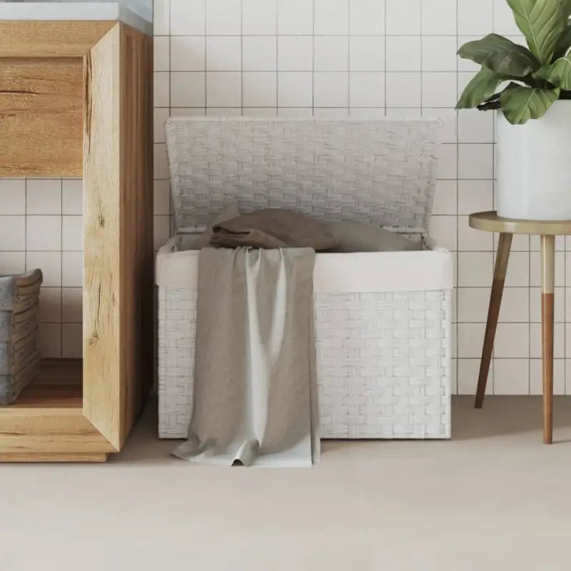 Wasmand van poly rattan met inklapbaar ontwerp voor rustieke badkamerstijl - Wit / 1 - Wasmanden