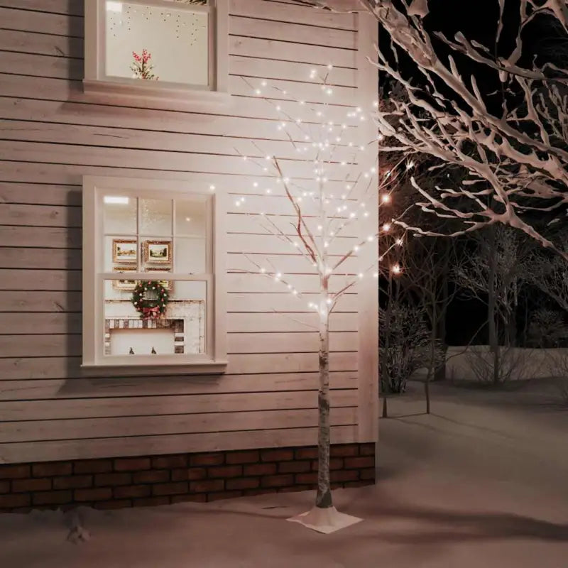 Witte LED Berkenboom voor een natuurlijke lichtdecoratie - 220 cm / 1 - Kerstbomen