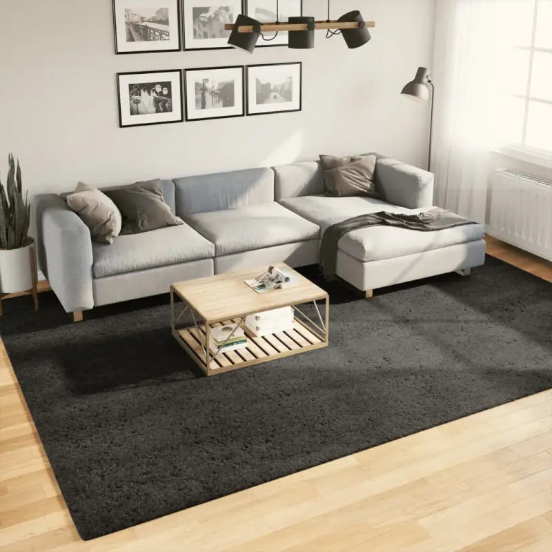 Zacht vloerkleed van polyester getest op schadelijke stoffen - Antraciet / 240 x 340 cm - Vloerkleden