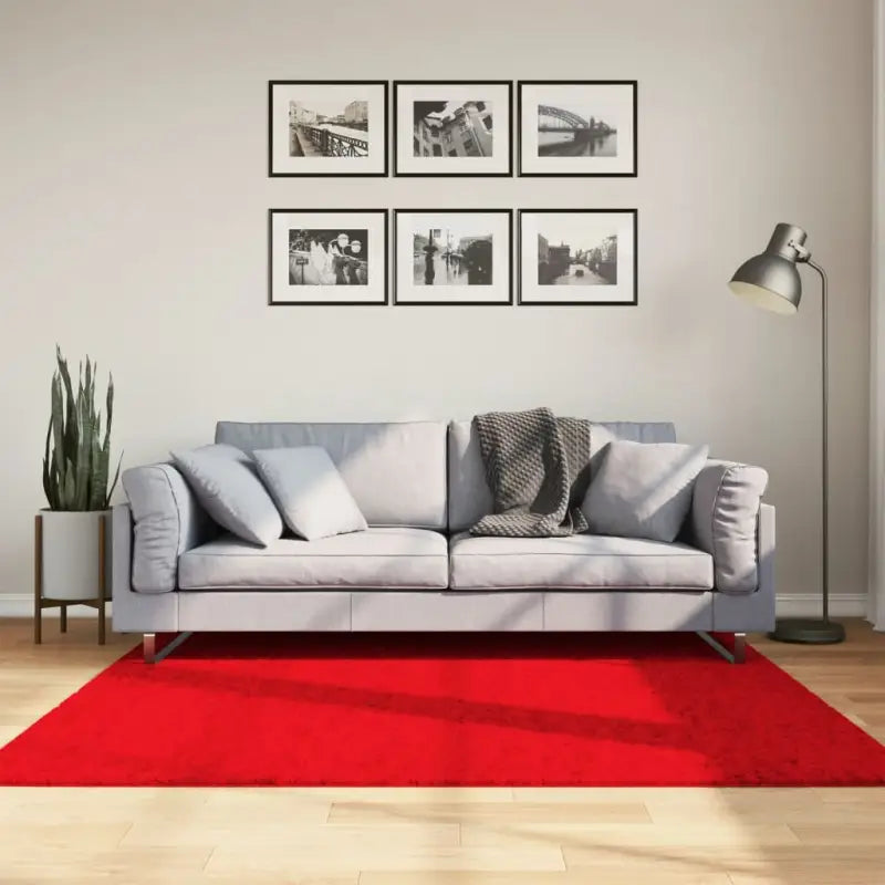 Zacht vloerkleed van polyester met STANDARD 100 op schadelijke stoffen - Rood / 160 x 160 cm - Vloerkleden