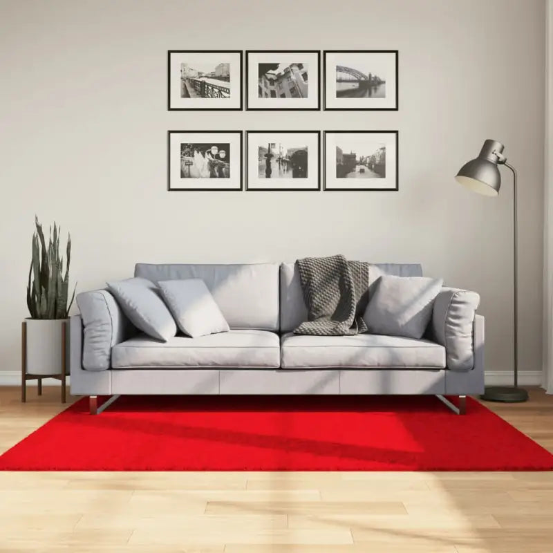 Zacht vloerkleed van polyester met STANDARD 100 op schadelijke stoffen - Rood / 120 x 170 cm - Vloerkleden
