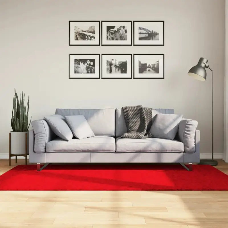 Zacht vloerkleed van polyester met STANDARD 100 op schadelijke stoffen - Rood / 100 x 200 cm - Vloerkleden
